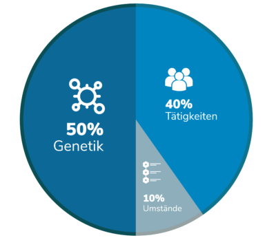 Flow: Welche Faktoren beeinflussen das Glück? Was macht uns glücklich? (Tortendiagramm)